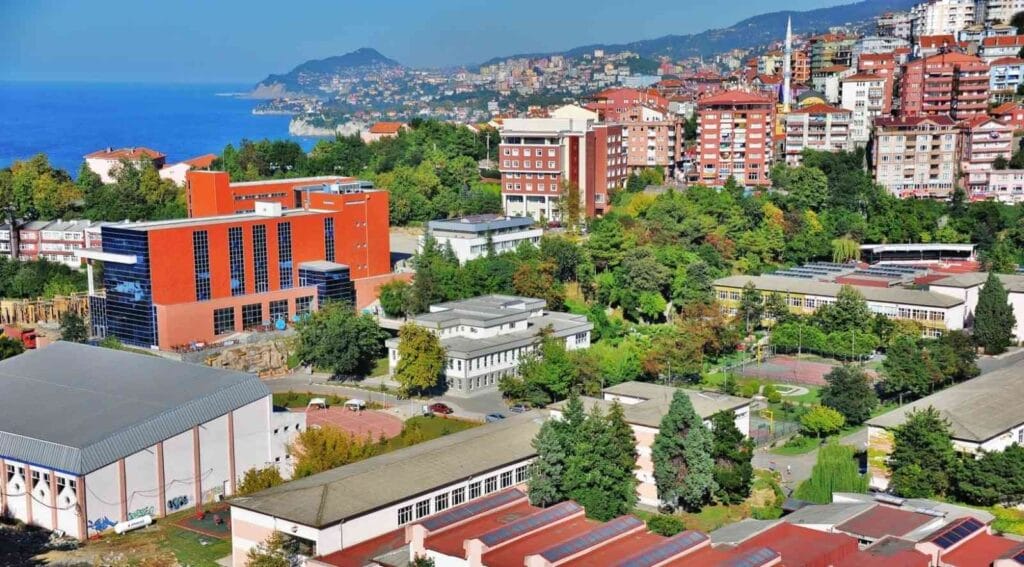 Zonguldak Bulent Ecevit Universitesi 2