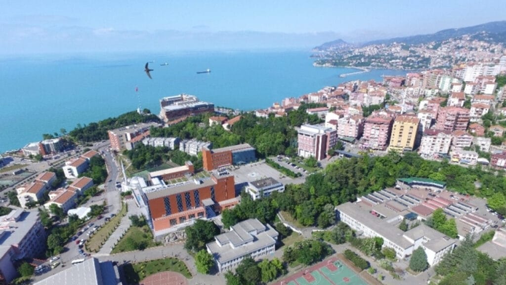 Zonguldak Bulent Ecevit Universitesi 3