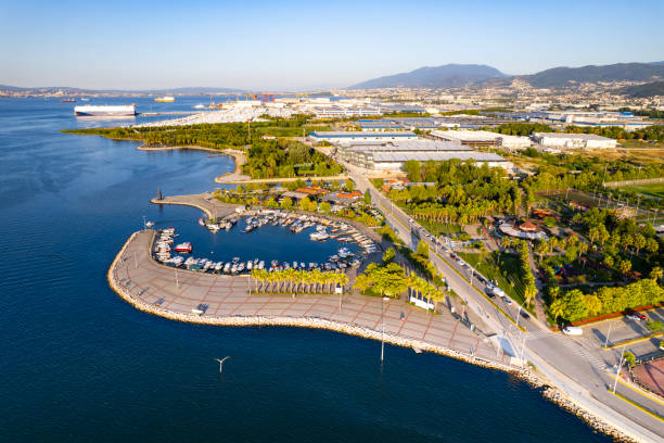 istockphoto 2165410563 612x612