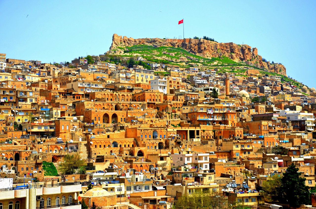 mardin liseleri lgs puanları