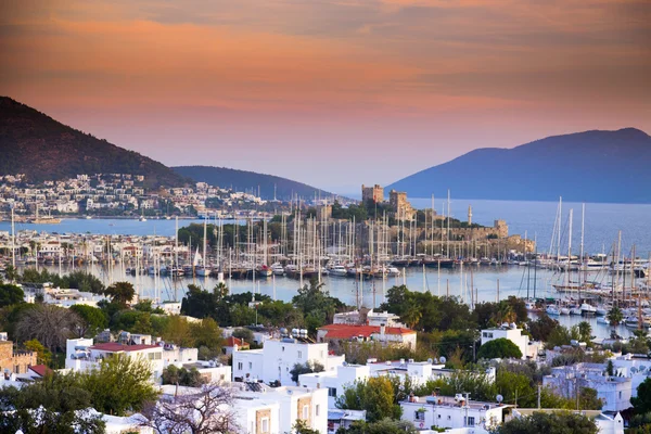 Muğla Lise Taban Puanları 2026-2027 (Son 4 Yıl) Yüzdelik Dilimleri